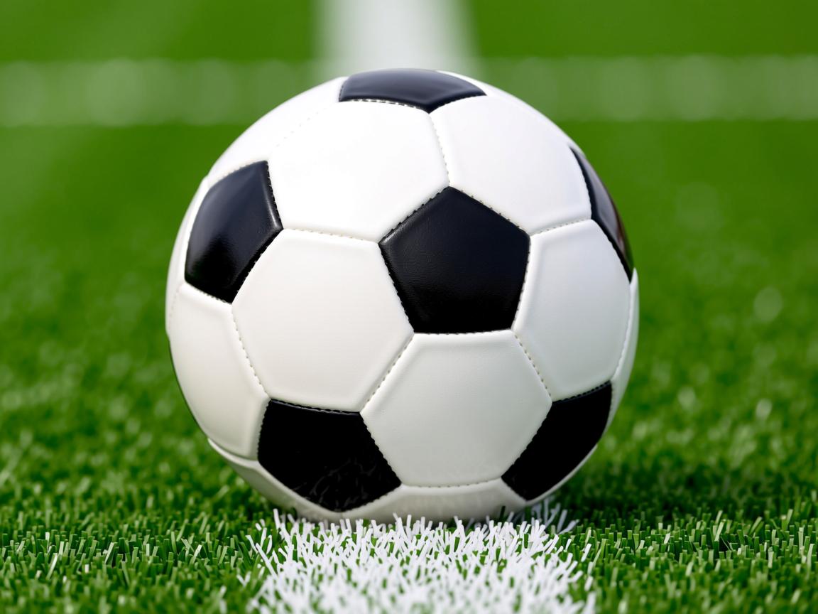 开云体育网站-CBA青年球员迎来首秀 表现超出预期，cba青年联赛叫什么  第2张