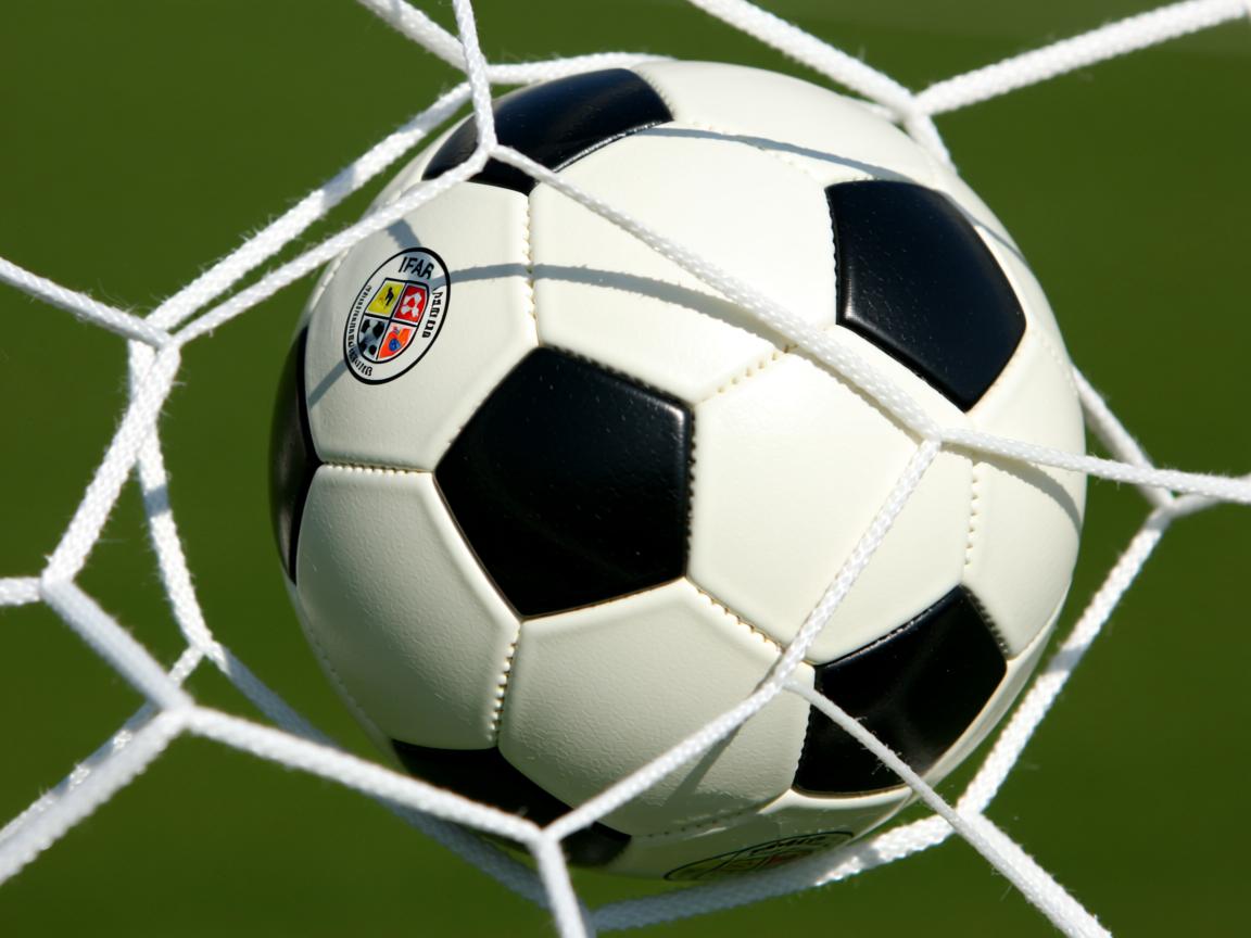 开云体育app官网-冰球训练班设置新手快速适应课程体系，冰球训练营策划方案  第2张