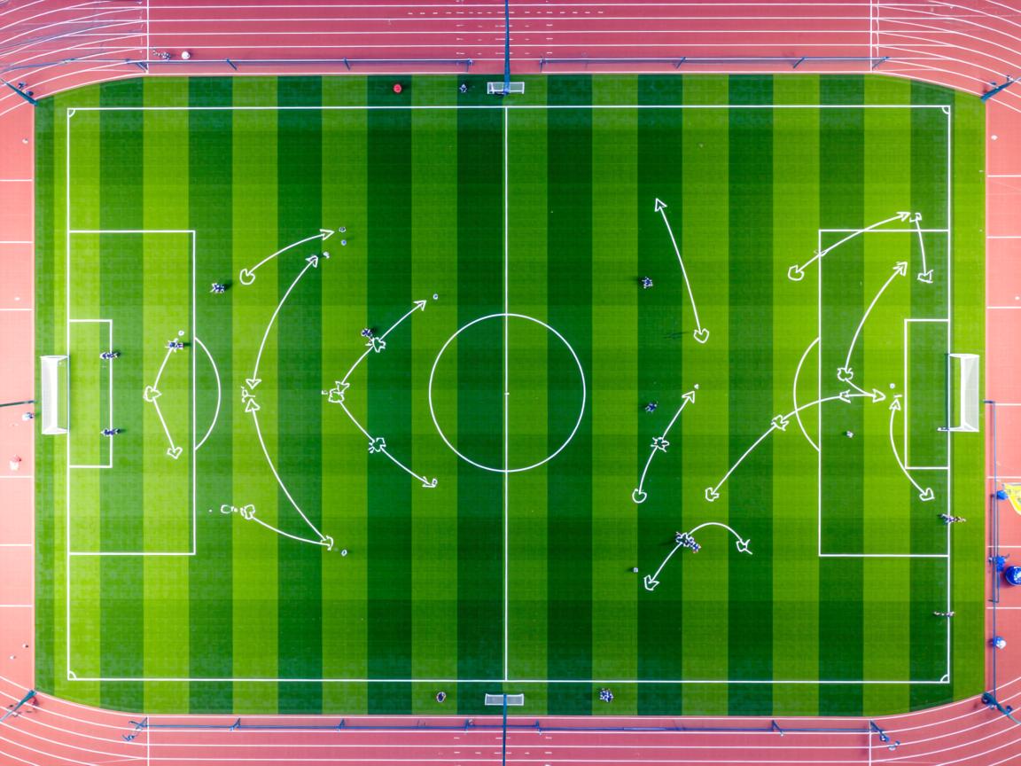 开云体育-加拿大游泳技术优化助力成绩提升，加拿大国家游泳队  第3张