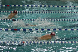 开云体育在线登入-“世界游泳锦标赛：2025新加坡赛场泳池掀起速度与优雅的碰撞”